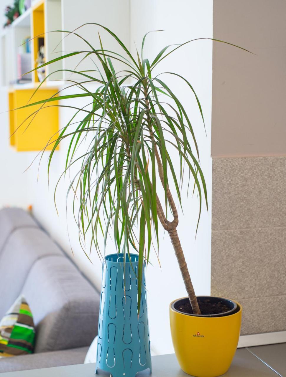 Apartment Lemon Mostar Exteriér fotografie